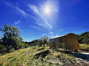 Robins Retreat - Shepherds Hut within orchard